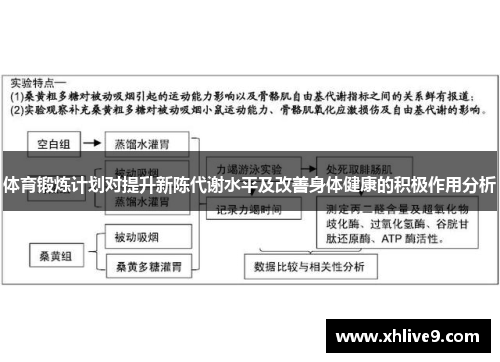 体育锻炼计划对提升新陈代谢水平及改善身体健康的积极作用分析