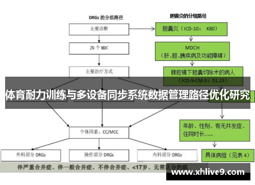 体育耐力训练与多设备同步系统数据管理路径优化研究
